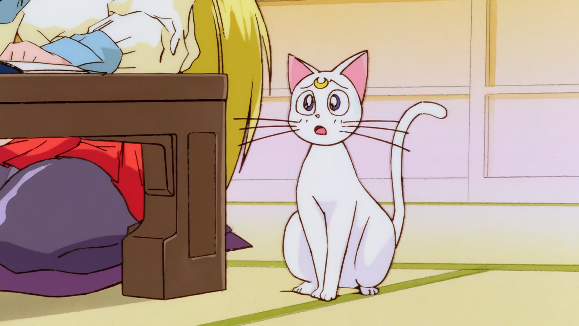 Bishoujo Senshi Sailor Moon S: Kaguya-hime no Koibito (Majo no Kuni)